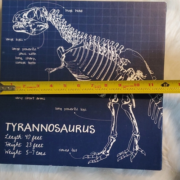 Like New! Canvas Dino Wall Art. - Picture 13 of 14
